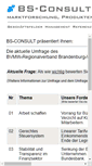 Mobile Screenshot of bvmw.bs-consult.de